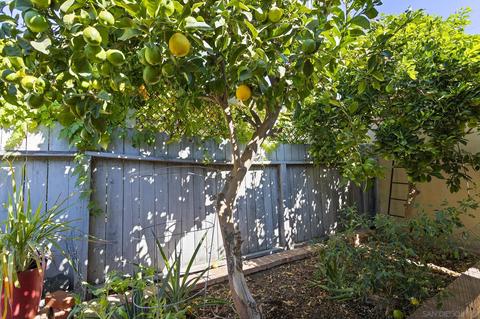818 E Washington Ave #C, Escondido, CA 92025 photo 24