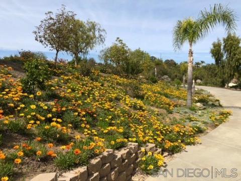 3120 Knottwood Way, Fallbrook, CA 92028 photo 39