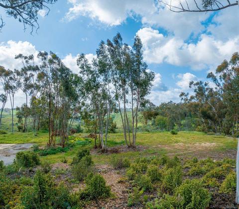 3907 Fortuna Ranch Rd, Encinitas, CA 92024 photo 5
