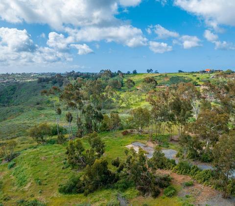 3907 Fortuna Ranch Rd, Encinitas, CA 92024 photo 6