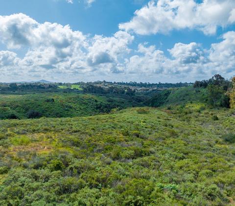 3907 Fortuna Ranch Rd, Encinitas, CA 92024 photo 7