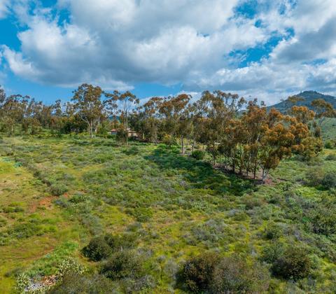3907 Fortuna Ranch Rd, Encinitas, CA 92024 photo 8