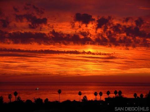5384 La Jolla Mesa Dr, La Jolla, CA 92037 photo 27