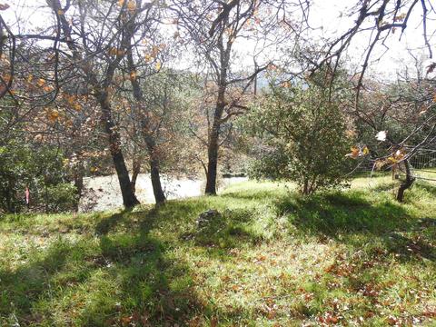 2235 Sunset Dr, Julian, CA 92036 photo 32