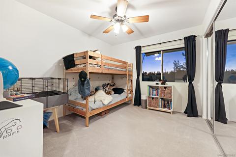 2457 Victoria Cir, Alpine, CA 91901 photo 19