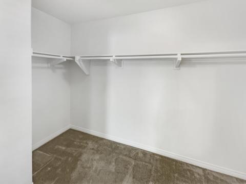3577 Summit Trail Ct, Carlsbad, CA 92010 photo 20