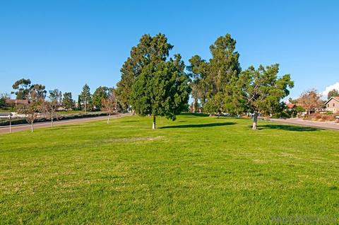 181 Countryhaven Rd, Encinitas, CA 92024 photo 27