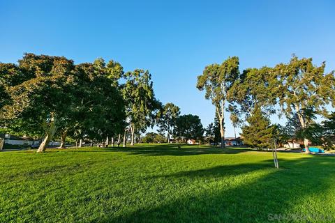 181 Countryhaven Rd, Encinitas, CA 92024 photo 32