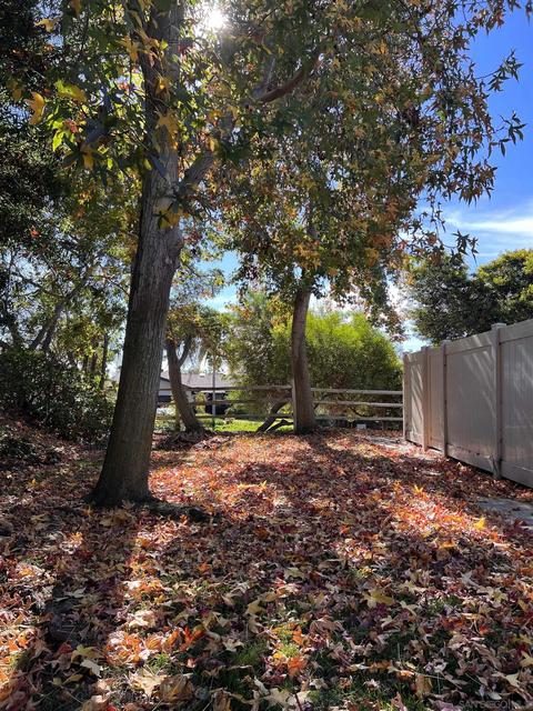 181 Countryhaven Rd, Encinitas, CA 92024 photo 5