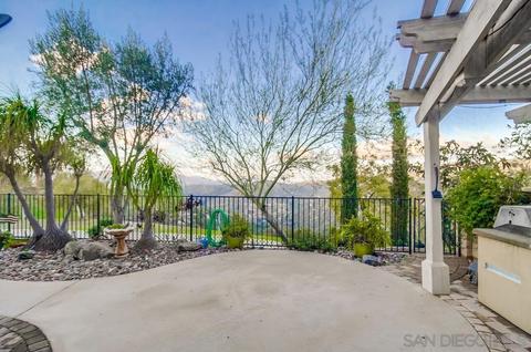 2548 Columbine Dr, Alpine, CA 91901 photo 57