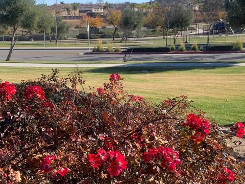 335 Monument Pkwy, Perris, CA 92570 photo 32