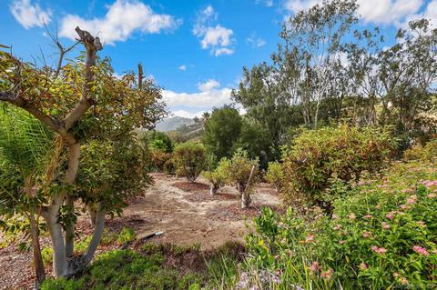 40495 Rock Mountain Dr, Fallbrook, CA 92028 photo 45