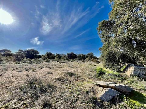 38747 Alta Vega Rd, Boulevard, CA 91905 photo 4
