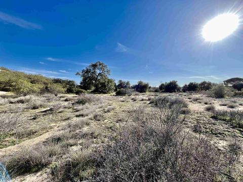 38747 Alta Vega Rd, Boulevard, CA 91905 photo 16