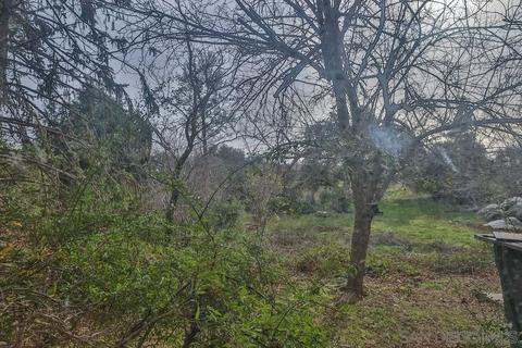 1531 Orchard Ln, Julian, CA 92036 photo 23