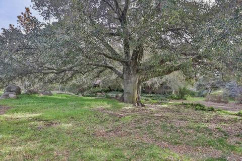 1531 Orchard Ln, Julian, CA 92036 photo 32