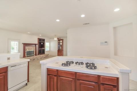 1390 Red Mountain Dam Dr, Fallbrook, CA 92028 photo 18