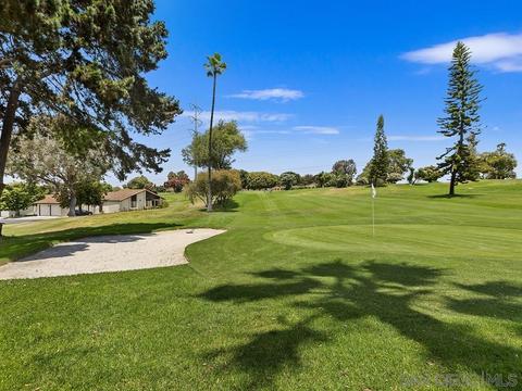 369 Orwell Ln, Encinitas, CA 92024 photo 47