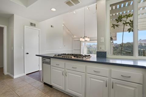 8208 Caminito Maritimo, La Jolla, CA 92037 photo 18
