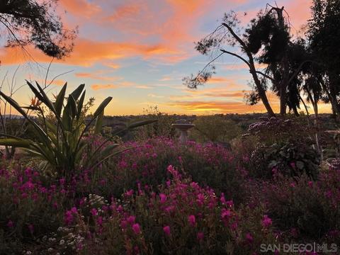 14102 Summit Crst, Escondido, CA 92025 photo 52