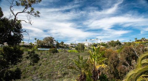 1522 Caminito Solidago, La Jolla, CA 92037 photo 13