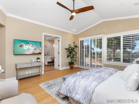 696 Cypress Hills Dr, Encinitas, CA 92024 photo 34