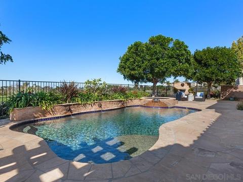 696 Cypress Hills Dr, Encinitas, CA 92024 photo 46
