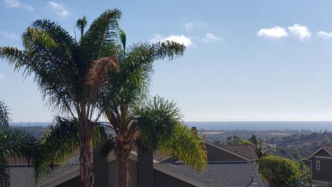4593 Salem Pl, Carlsbad, CA 92010 photo 37