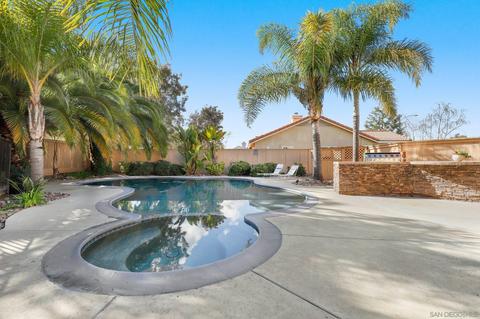 313 Del Flora St, Oceanside, CA 92058 photo 30