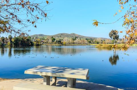 10173 Peaceful Ct, Santee, CA 92071 photo 34