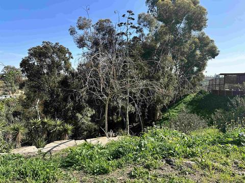lot28 Benton Pl #28, San Diego, CA 92116