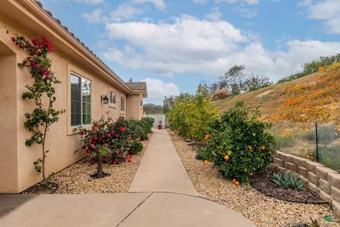 3817 Sumac Ct, Fallbrook, CA 92028 photo 6