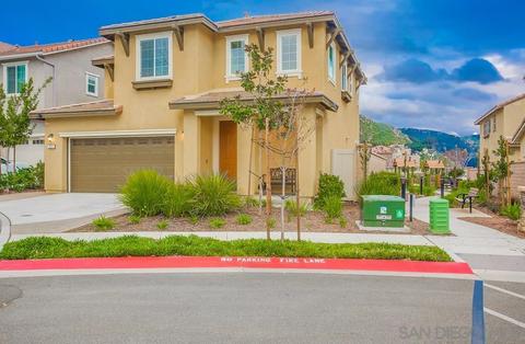 253 Spotted Saddle Way, Fallbrook, CA 92028 photo 30