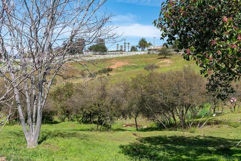 16651 Sam Ln, Ramona, CA 92065 photo 65