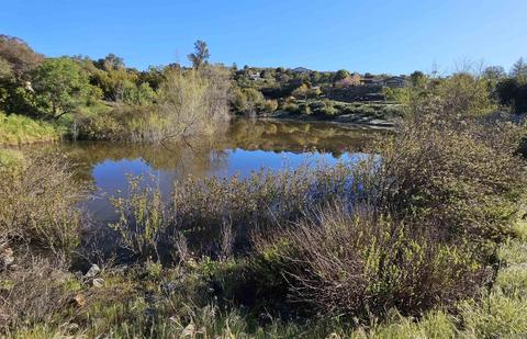 3137 Duck Pond Ln, Ramona, CA 92065 photo 30