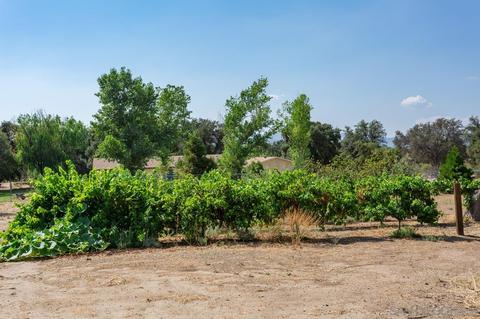2341 Lake Morena Dr, Campo, CA 91906 photo 17