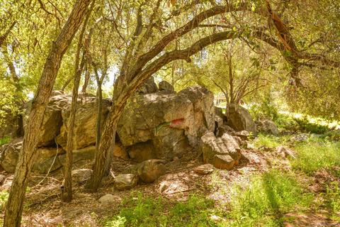 Undisclosed, Lakeside, CA 92040 photo 52