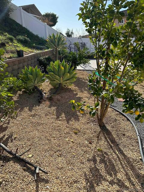 9465 Adlai Ter, Lakeside, CA 92040 photo 16
