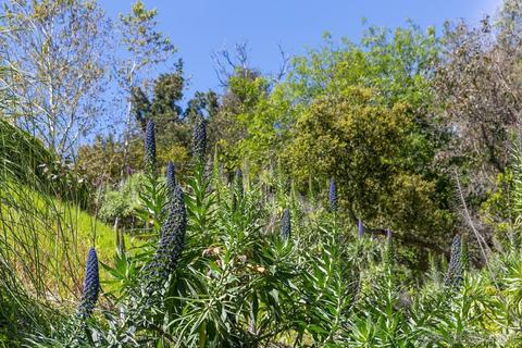15629 Boulder Mountain Rd, Poway, CA 92064 photo 59