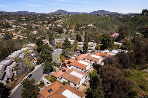 3151 Via De Caballo, Encinitas, CA 92024 photo 41