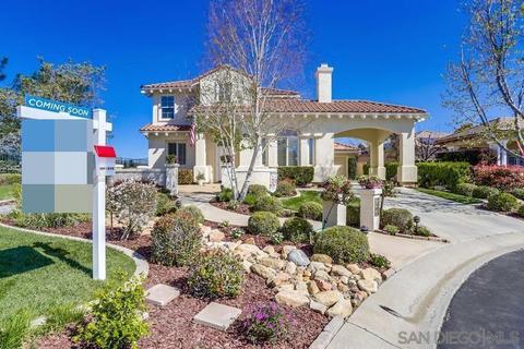710 Greyfield Ct, Fallbrook, CA 92028 photo 1