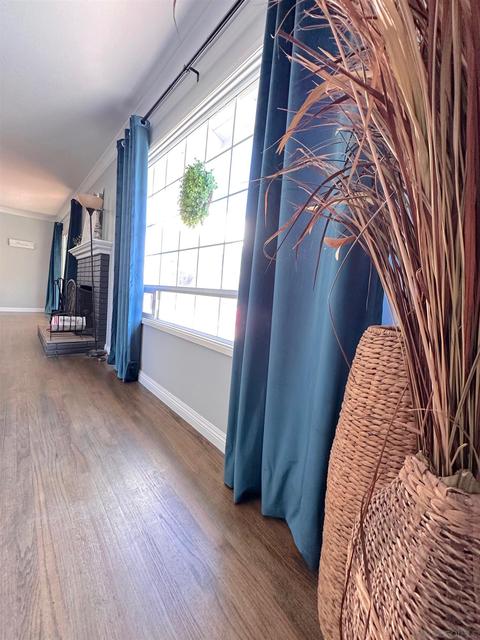 10027 Norte Mesa Dr, Spring Valley, CA 91977 photo 15