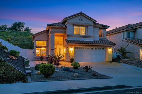 1033 Gallery Dr, Oceanside, CA 92057 photo 43