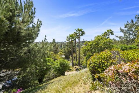 1080 Buena Suerte, Fallbrook, CA 92028 photo 42