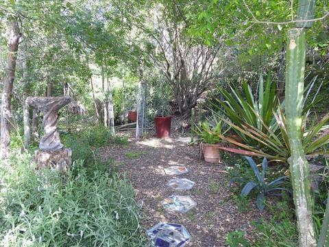 9831 Shadow Rd, La Mesa, CA 91941 photo 50