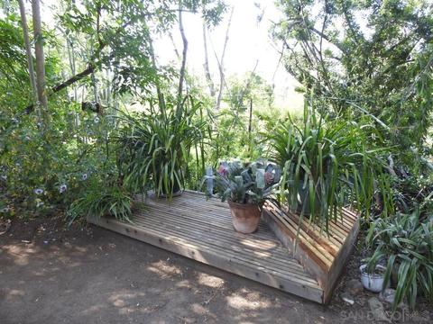 9831 Shadow Rd, La Mesa, CA 91941 photo 60