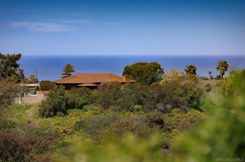1660 Leora Ln, Encinitas, CA 92024