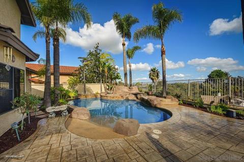 445 Via Savoy, Encinitas, CA 92024 photo 31