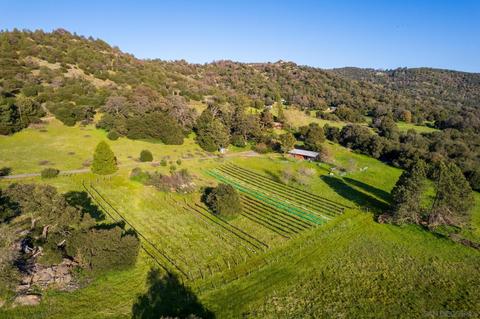 3254 Pine Hills Rd, Julian, CA 92036 photo 40