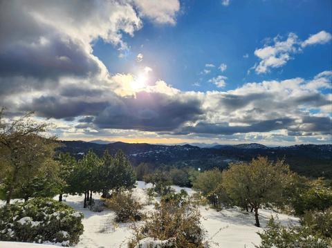 5730 Mountain Meadow Rd, Julian, CA 92036 photo 28